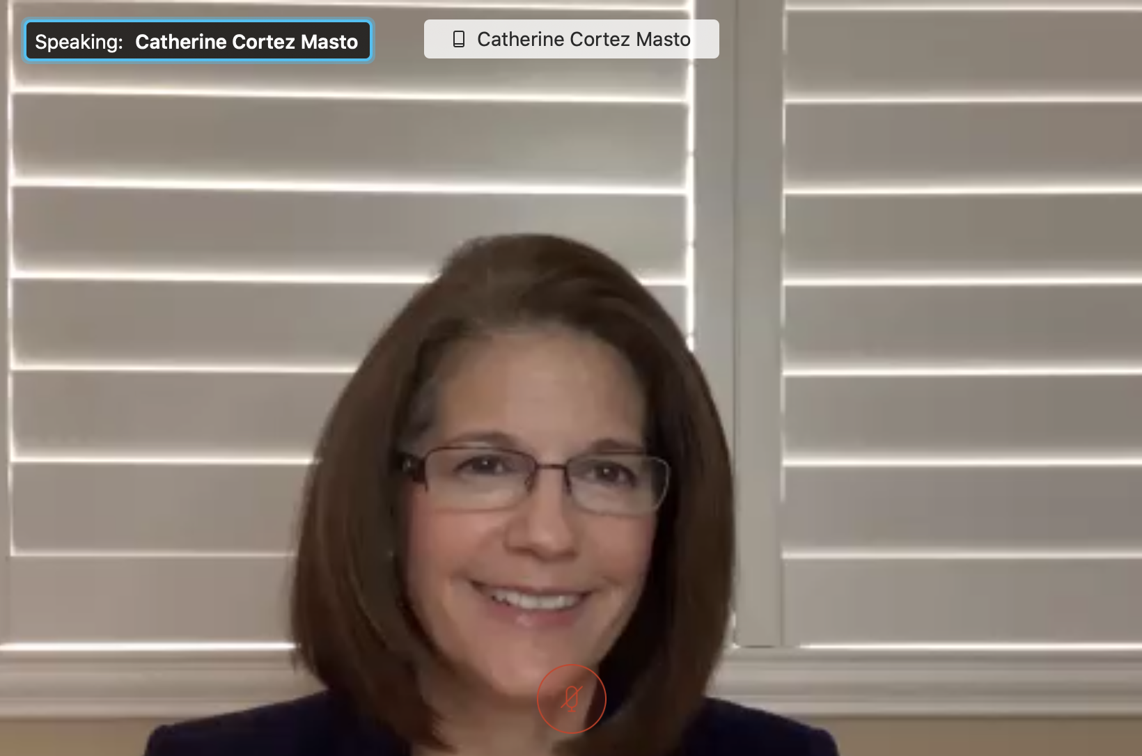 Cortez Masto Startup Webinar