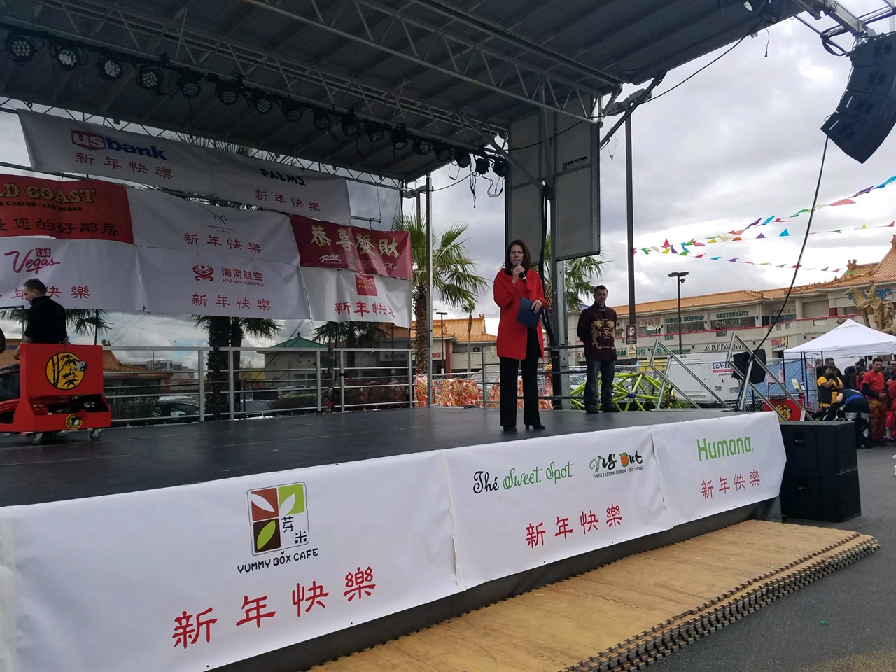 Chinese New Year 2019